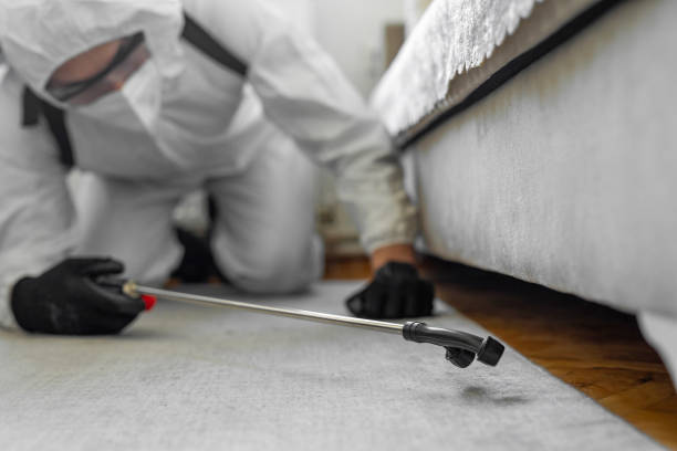 Professional Bed Bug Control technician working in Leavenworth, WA